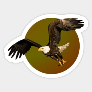 RETRO EAGLE Sticker